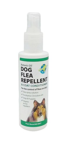 Paragon dog flea repellent - dog,