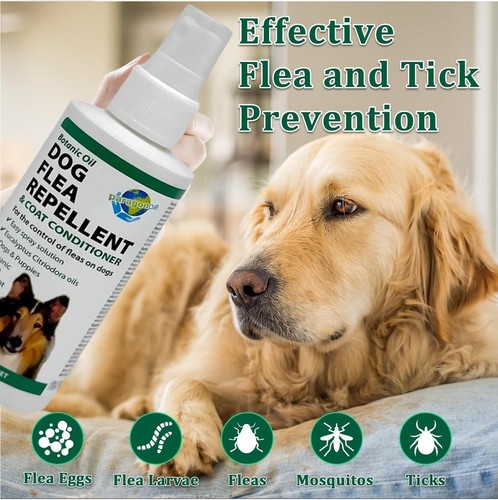 Paragon dog flea repellent - paragon,