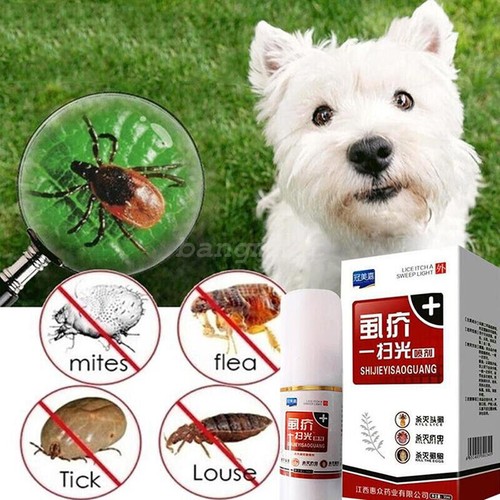 60ml pet cats - pet, killer