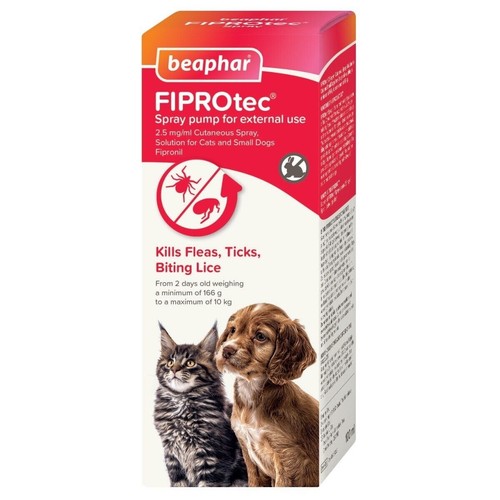 Flea spray puppy dog - dog, kitten