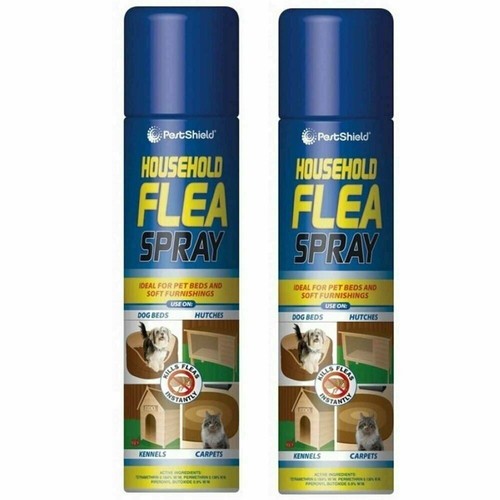 Cans indoor flea spray - indoor,