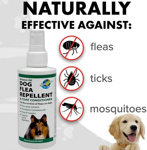 Dog flea repellent - flea, spray