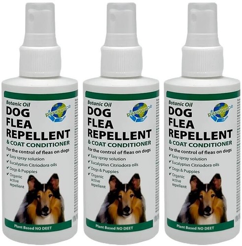 Dog flea repellent - flea,