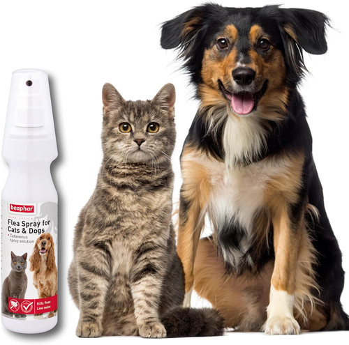 Flea spray for cats - flea,