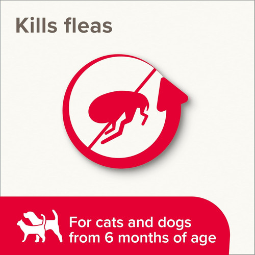 Flea spray for cats and - flea,