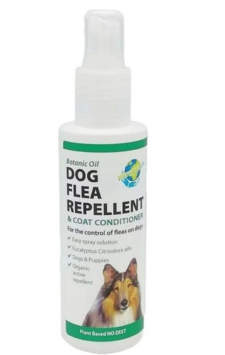 Paragon dog flea - dog, &