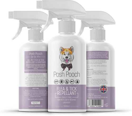 Flea and tick - flea,