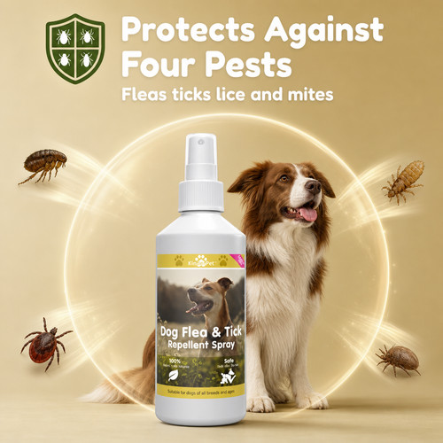 Dog flea killer treatment - dog,