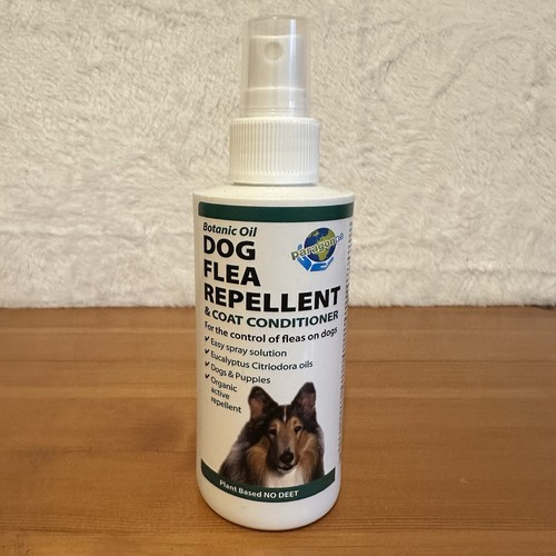 Paragon dog flea - dog,